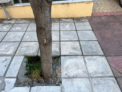 Καθιζηση και σπάσιμο αγωγού ΕΥΑΘ 