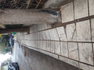 ΥΠΕΡΥΨΩΜΕΝΟ ΠΕΖΟΔΡΌΜΙΟ 