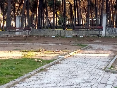 Καθαρισμος κ κοπη χορτων