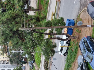 Κάδοι πανω στο δρόμο 