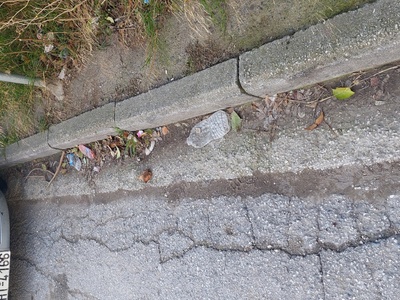 σκουπίδια  στους δρόμους επι της βρυουλων κεντρικος δρόμος 