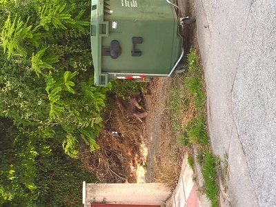 ΠΑΛΙΑ ΑΝΑΦΟΡΑ 1462, ΜΑΖΕΜΑ ΚΛΑΔΙΩΝ ΔΕΝ ΕΓΙΝΕ 