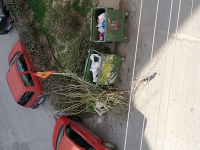 Απομάκρυνση κλαδιών