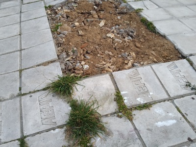 Κλείσιμο υποδοχής δέντρου 