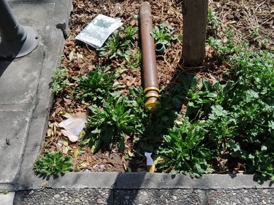 Ξηλωμενα πασαλακια 