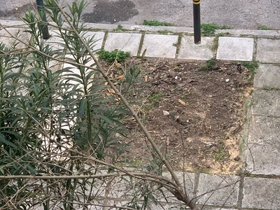 Τοποθέτηση πλάκες πεζοδρομίου  