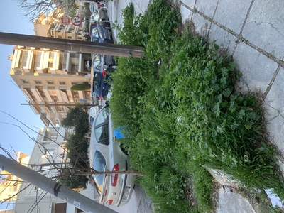 Σπασμένες πλάκες πεζοδρομίου 