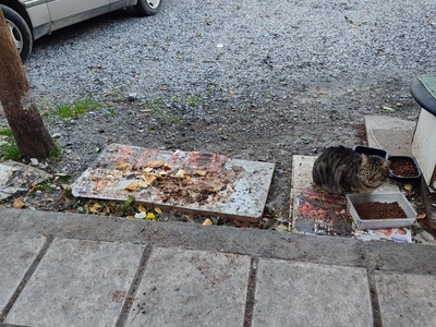 Εστια μόλυνσης 