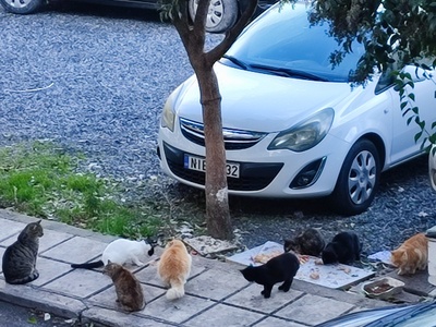 Εστια μόλυνσης 