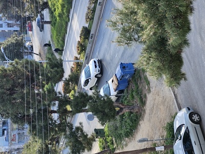 Καδος στην Γρηγορίου Κυδωνιών 