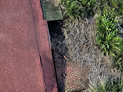 Σχαρα στο γηπεδο Απολλων Καλαμαριας