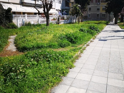 Κούρεμα χόρτων 