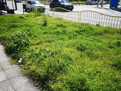 Κούρεμα χόρτων 