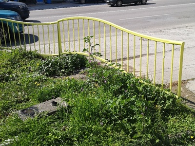 Κούρεμα χόρτων 