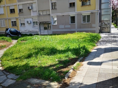 Κούρεμα χόρτων 