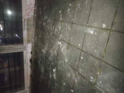 Σοβαδες στο παρκο