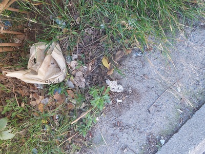 Καθαριότητα στην οδο Ισμήνης