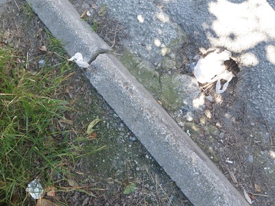 Καθαριότητα σε ολο το πλάτος της οδού Ισμήνης