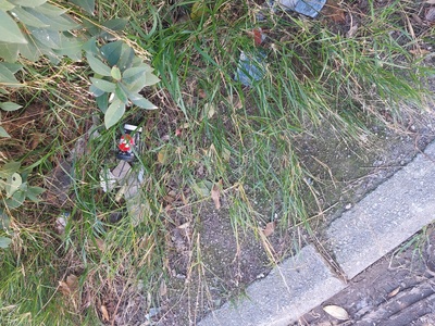 Καθαριότητα σε ολο το πλάτος της οδου Ισμήνης 