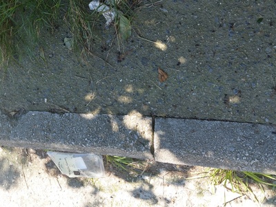 Καθαριότητα σε ολο το πλάτος της οδου Ισμήνης 