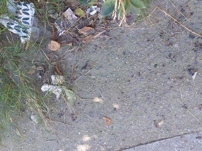 Καθαριότητα σε ολο το πλάτος της οδου Ισμήνης 