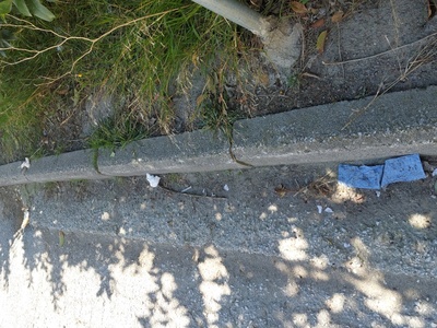 Καθαριότητα σε ολο το πλάτος της οδου Ισμήνης 