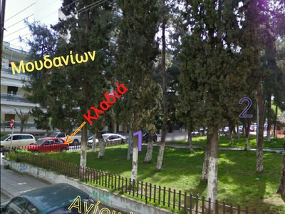 Καμμένες Λάμπες - Ξερά κλαδιά - Άρρωστο δέντρο