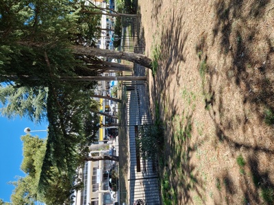 Αφαίρεση Κουνιας