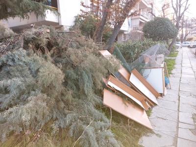 Συλλογή κομμένων κλαδιώβ