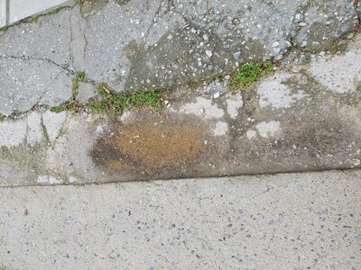 ΑΠΟΚΑΤΑΣΤΑΣΗ  ΠΕΖΟΔΡΟΜΙΟΥ ΣΤΗΝ ΘΕΜΙΣΤΟΚΛΗ ΣΟΦΟΥΛΗ ΜΕ ΝΑΥΑΡΙΝΟΥ 