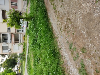 Καθαρισμός χόρτου 