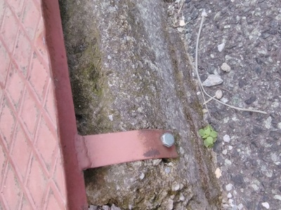 ΑΠΕΓΚΛΩΒΙΣΜΟΣ ΖΩΟΥ ΓΑΤΑΚΙ ΣΤΗΝ ΠΛΑΤΕΙΑ ΣΚΡΑ   ΕΠΕΙΓΟΝ 