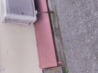 ΑΠΕΓΚΛΩΒΙΣΜΟΣ ΖΩΟΥ ΓΑΤΑΚΙ ΣΤΗΝ ΠΛΑΤΕΙΑ ΣΚΡΑ   ΕΠΕΙΓΟΝ 