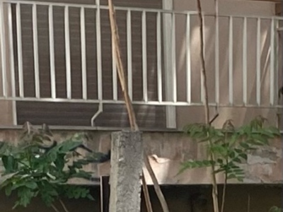 Εγκαταλελειμενες κατοικιες