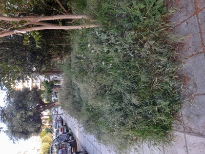 Σοσ σοσ σοσ 