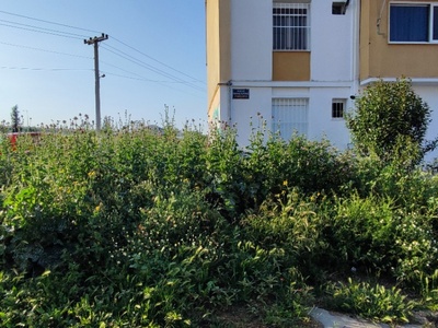 ΚΟΠΗ ΧΟΡΤΩΝ