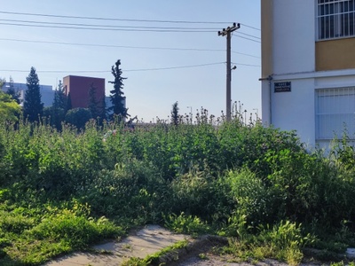 ΚΟΠΗ ΧΟΡΤΩΝ