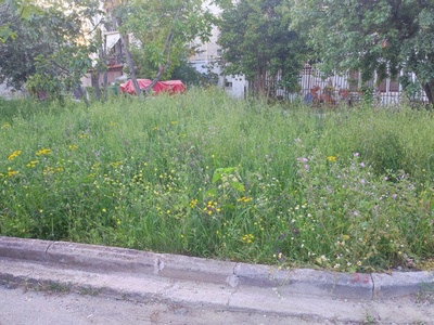 ΚΟΠΗ ΧΟΡΤΩΝ