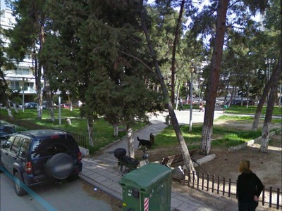 Αυτοψία
