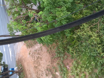 ΚΛΑΔΙΑ ΚΑΙ ΠΕΤΑΜΕΝΑ ΣΤΡΩΜΑΤΑ/ΚΑΡΕΚΛΕΣ