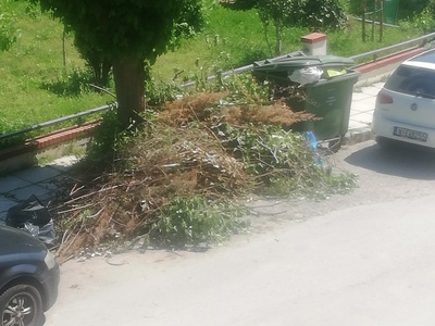 Αποκομιδή Κλαδιών