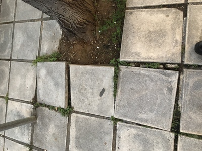 Επικινδυνη λακουβα