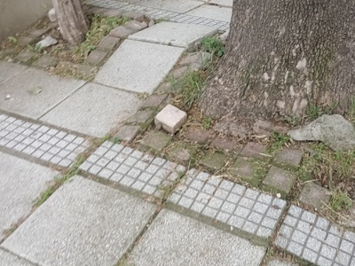 ΑΠΟΚΑΤΑΣΤΑΣΗ  ΠΕΖΟΔΡΟΜΙΟΥ  ΣΤΗΝ ΜΙΑΟΥΛΗ   ΕΠΕΙΓΟΝ 