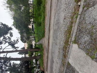 Εγκαταλεξψη