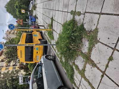 Αδεια δενδροδοχος εξω απο νηπιαγωγείο