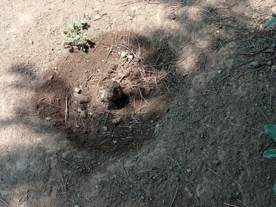 Πάρκο Παπανδρέου Παπατσεχιλίδη