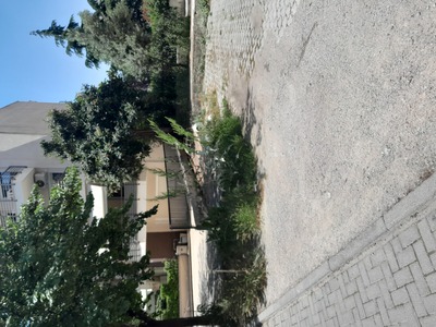 Χαλασμένη σπασμένη λάμπα κάτω στο έδαφος μέσα στα χόρτα....επίσης δίπλα υπάρχουν χόρτα που θέλουν κόψιμο και νερά λιμνάζοντα. 