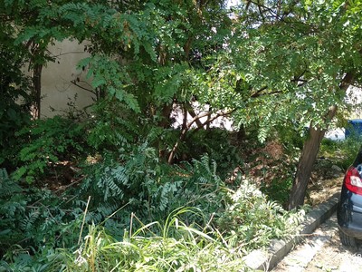 Οικοπεδο γεματο απο σκουπιδια και δενδρα