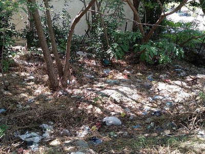 Οικοπεδο γεματο απο σκουπιδια και δενδρα