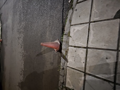 Επικίνδυνη στροφή 